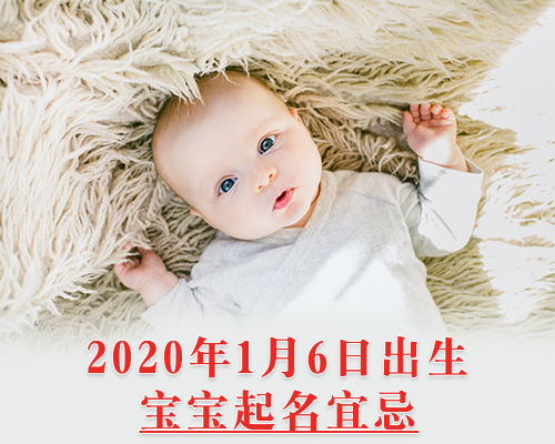 202016ų
